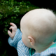 Illustration for article titled Why are babies scared of plants?